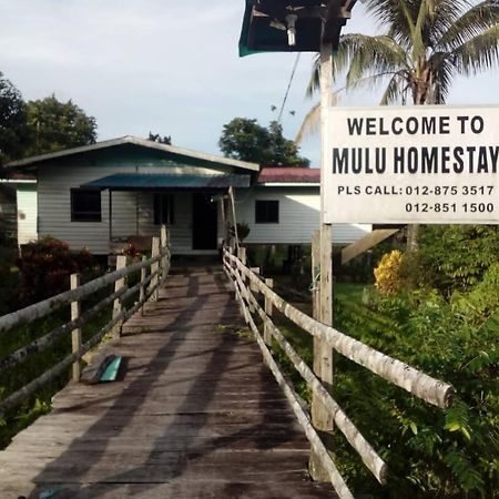 Mulu Homestay Exterior foto