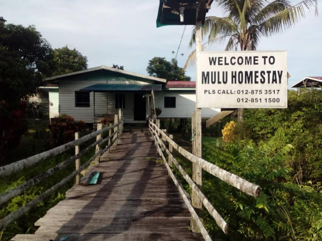 Mulu Homestay Exterior foto