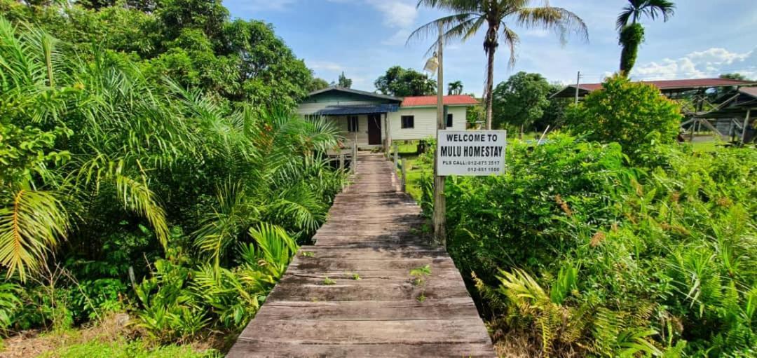 Mulu Homestay Exterior foto